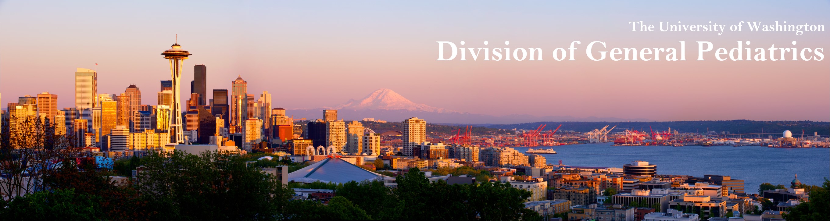 UW General Pediatrics.  Image of Seattle skyline with mountain in background.